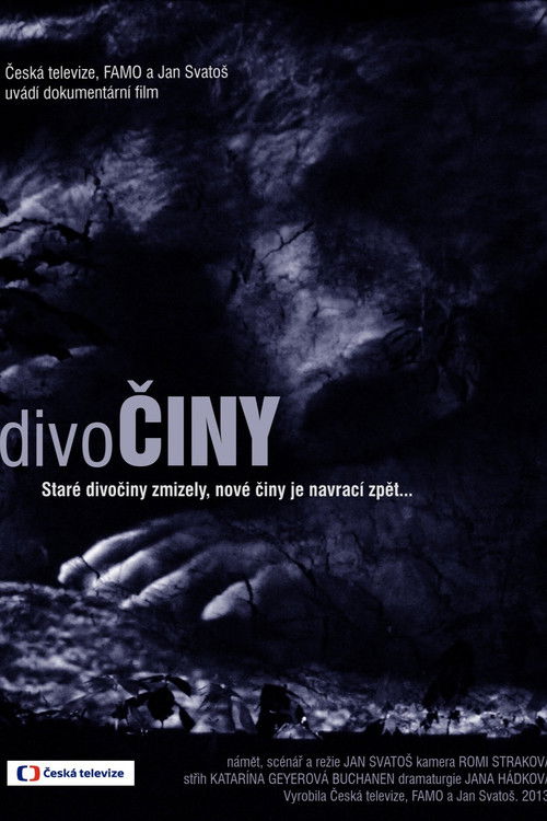 Wild Works (2013) poster