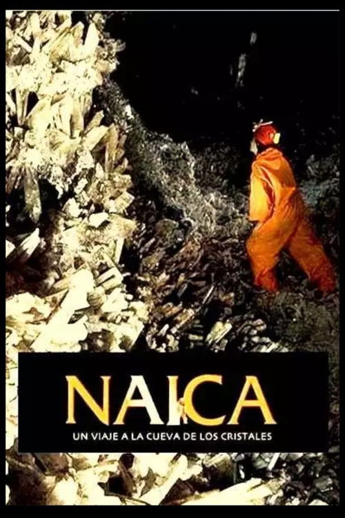 Naica (2010) poster