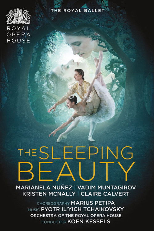 The Sleeping Beauty (2017) poster