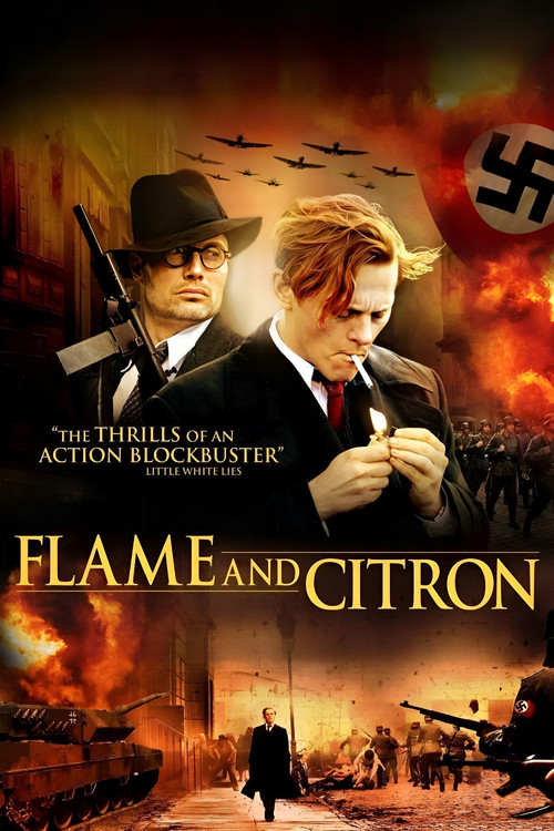 Ateş ve Limon (2008) poster