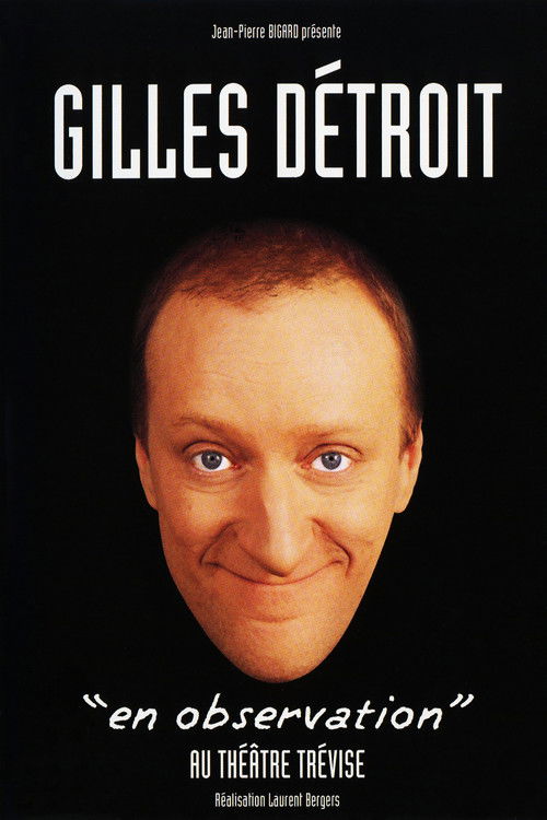 Gilles Détroit : En observation (2004) poster