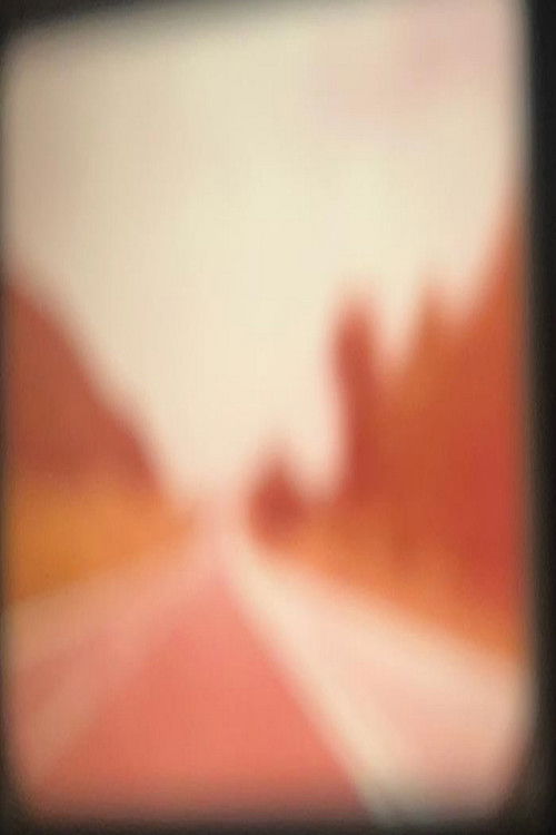 Slowdown (1975) poster