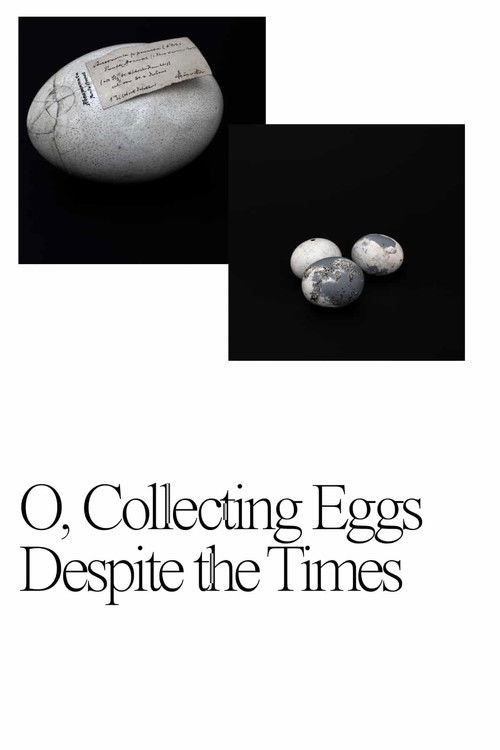 O, Collecting Eggs Despite the Times (2021) poster