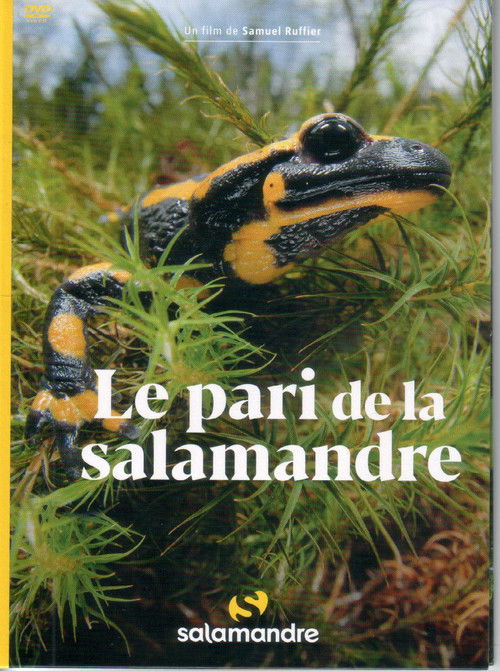 Le Pari De La Salamandre (2021) poster