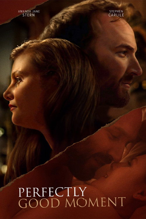 Perfectly Good Moment (2023) poster