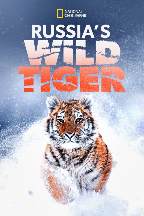Russia's Wild Tiger (2022) poster