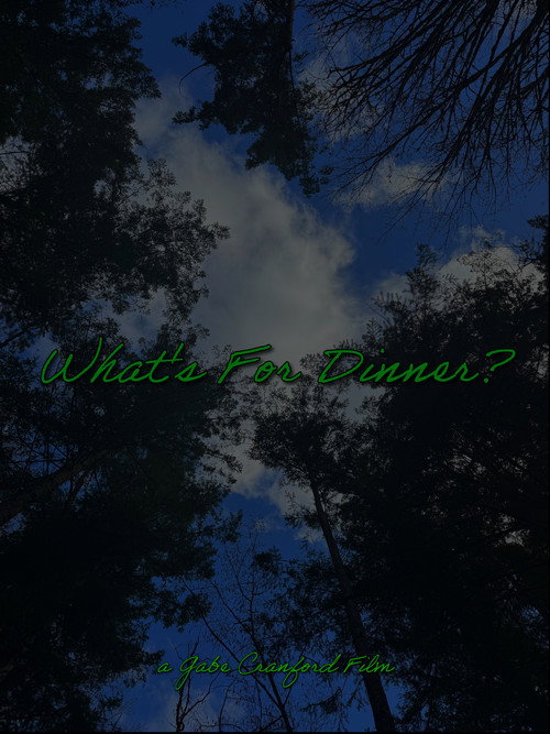 What's For Dinner? (2026) poster