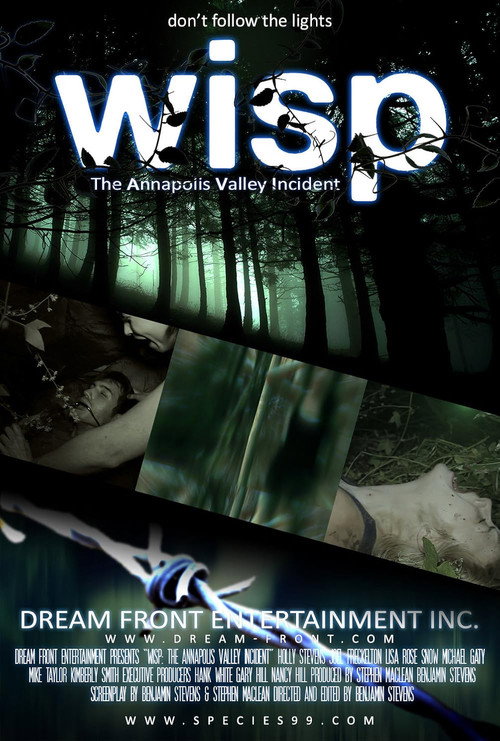 Wisp (2013) poster