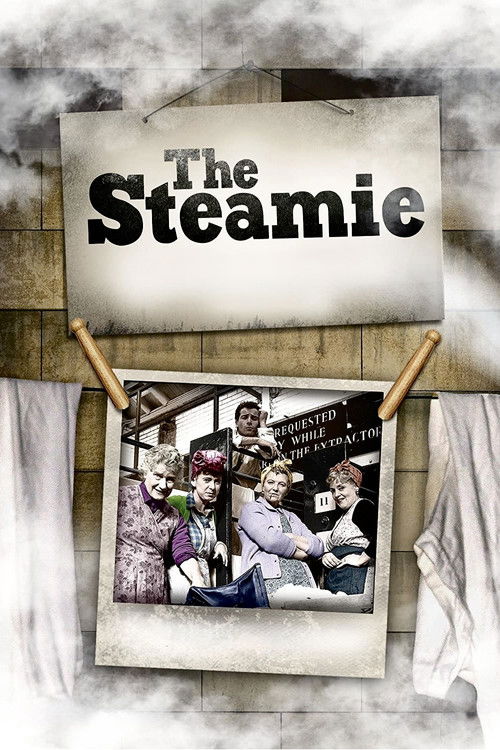 The Steamie (1988) poster
