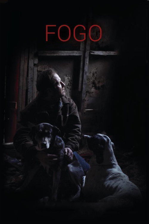 Fogo (2012) poster