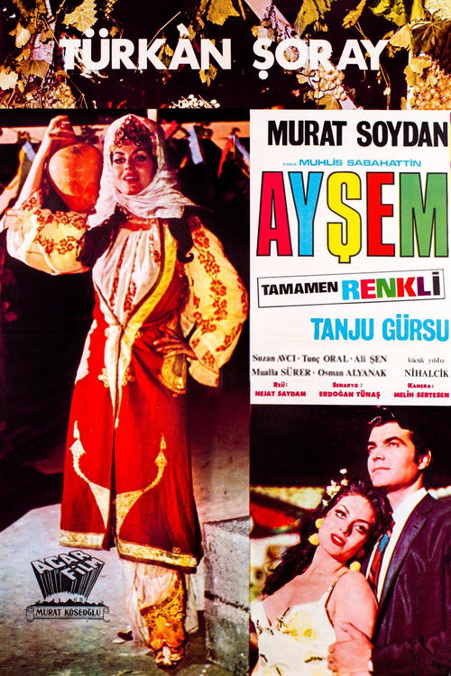 Ayşem (1968) poster