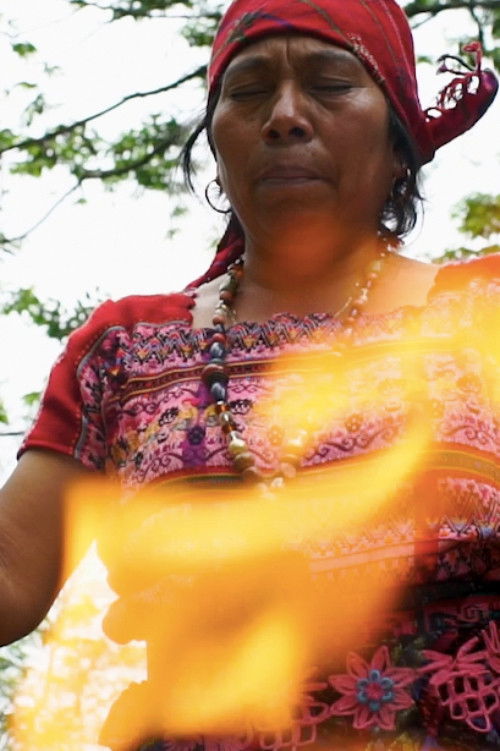 Fuego Sagrado (2023) poster