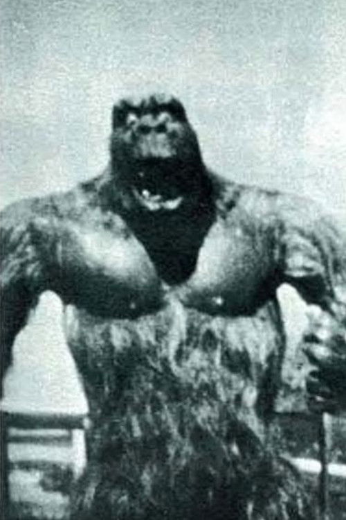 The Evils of Alcohol poster