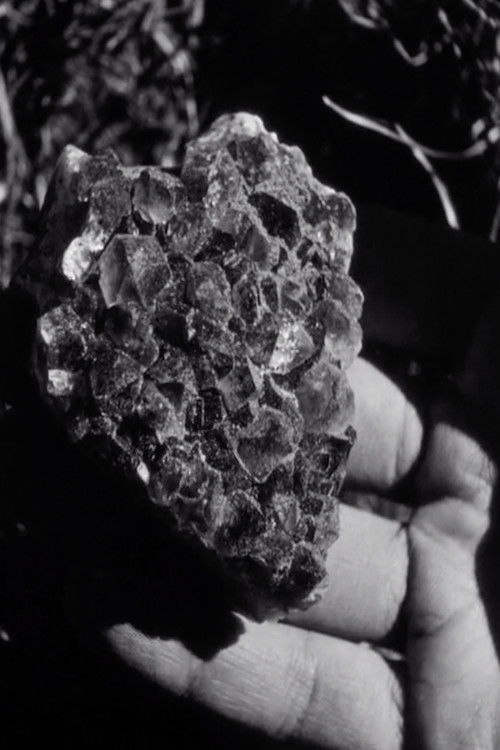 Instructions on How to Make a Film (2018) poster