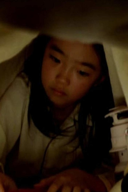 The Auction (2010) poster