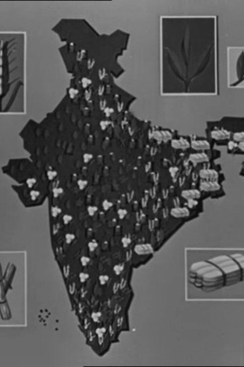 This Our India (1960) poster