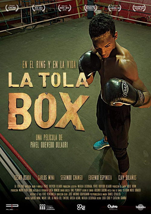 La Tola Box (2014) poster