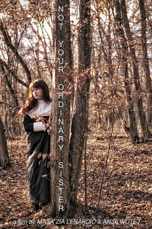 Not Your Ordinary Sister (2019) poster
