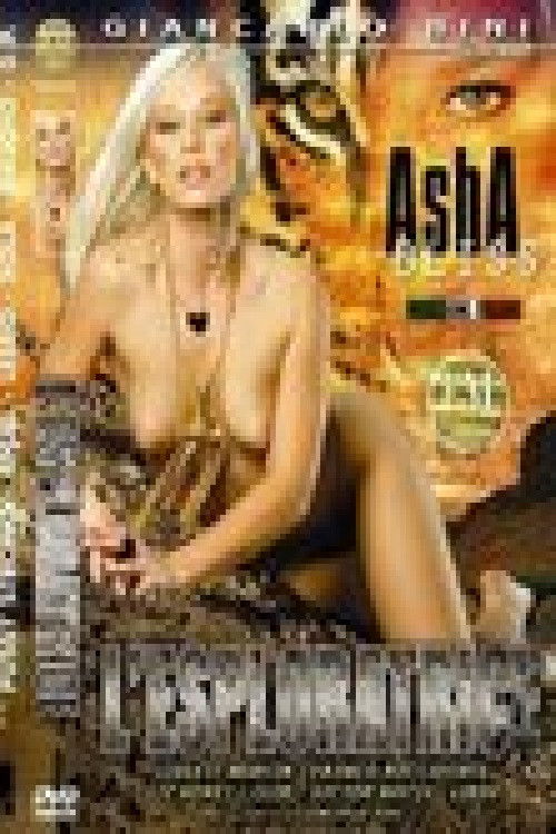 The Explorer (2007) poster