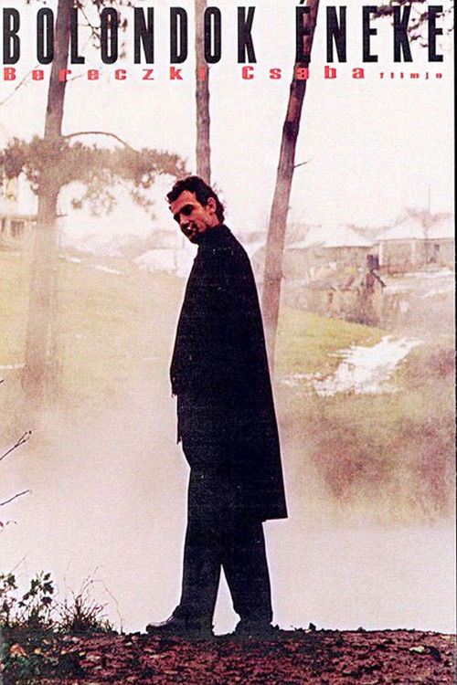 Fool's Song (2003) poster