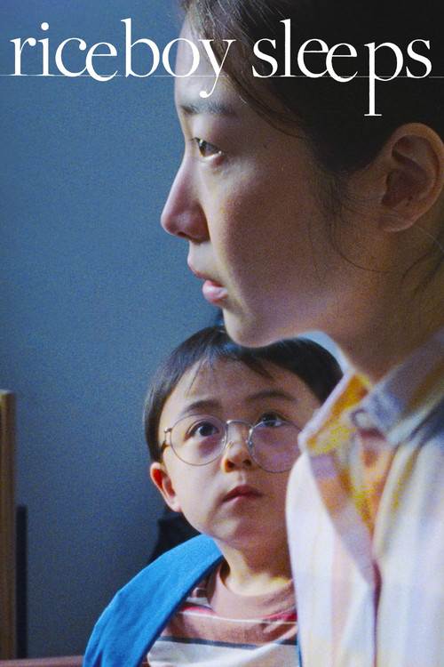 Riceboy Sleeps (2023) poster