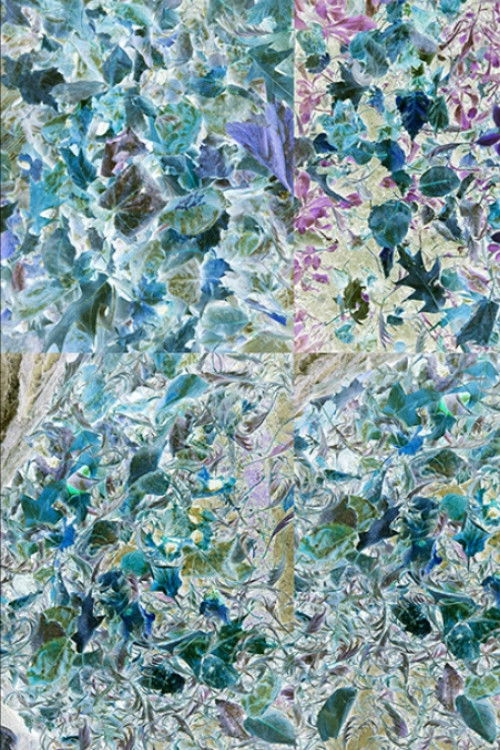 The Backyard (2013) poster