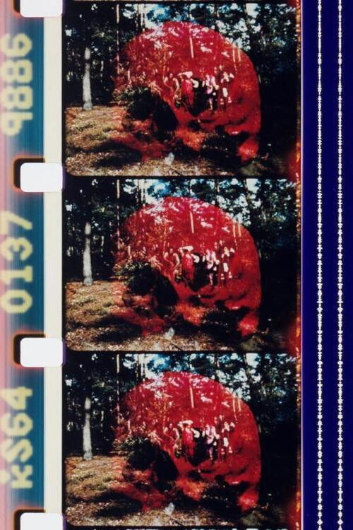 Sun Love (1967) poster