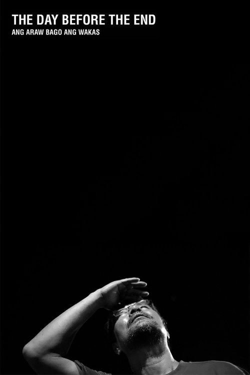 The Day Before the End (2016) poster