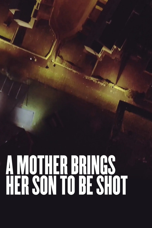 A Mother Brings Her Son to Be Shot (2017) poster