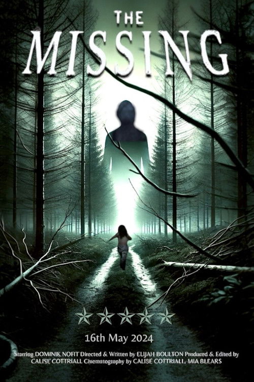 The Missing poster