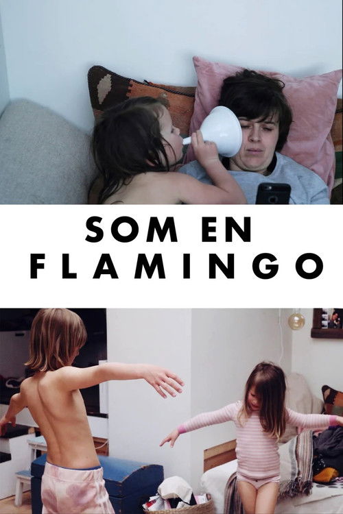 Som en flamingo (2020) poster