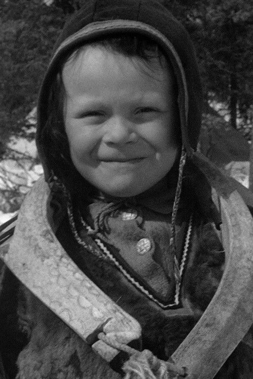 Vårvinterrajden (1944) poster