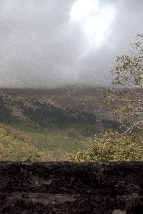 Quarta passeggiata - Un giro di giostra (2021) poster