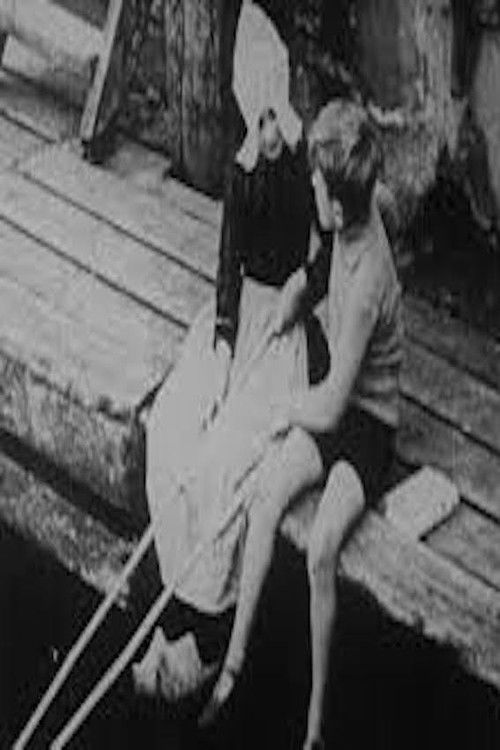 The Little Dutch Tulip Girl (1928) poster