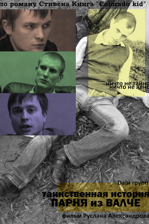 The Mystery of a Guy From Valche (2010) poster