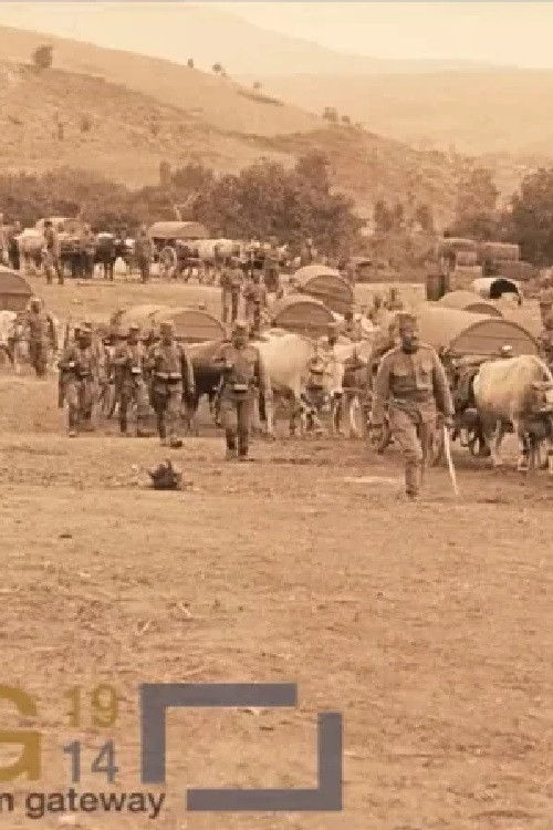 Ammunition Column of the Danube Division (1913) poster
