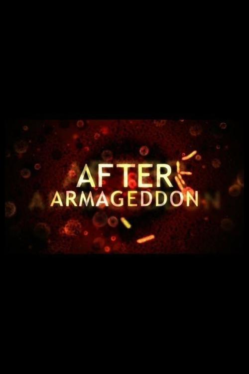 After Armageddon (2010) poster