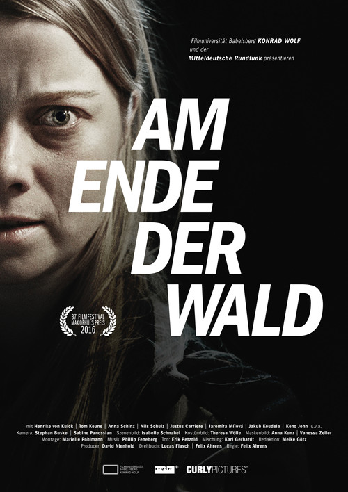 Am Ende der Wald (2016) poster