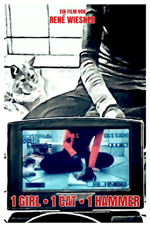 1 Girl 1 Cat 1 Hammer (2020) poster