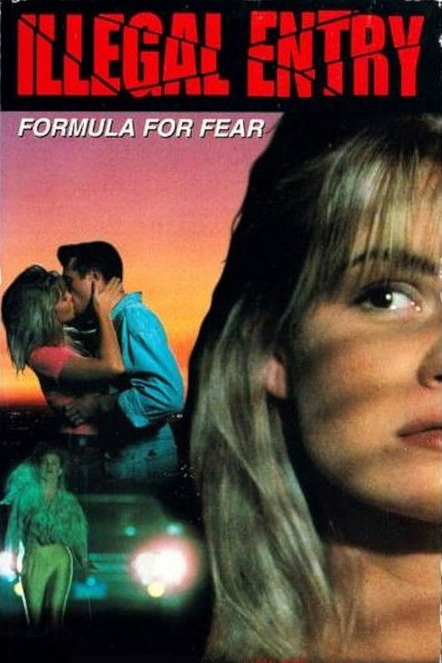 Illegal Entry: Formula for Fear (1993) poster