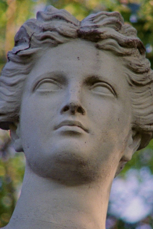 Silent Witness (2023) poster