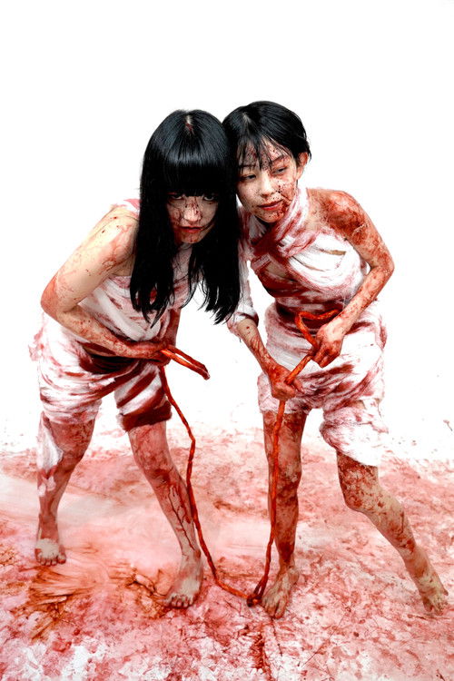 2 Girls 1 Gut (2024) poster