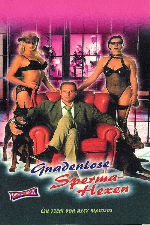 Le porte del desiderio (1998) poster