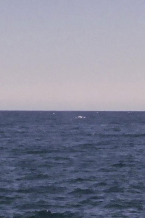 Orizzonti orizzonti! (2014) poster