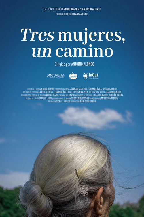 Tres mujeres, un camino poster