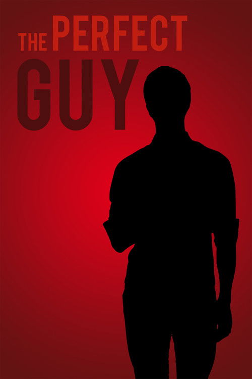 The Perfect Guy (2017) poster