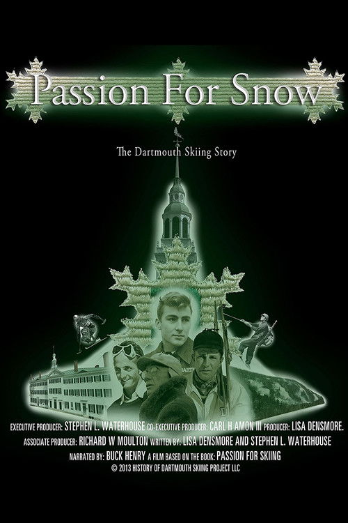 Passion for Snow (2013) poster