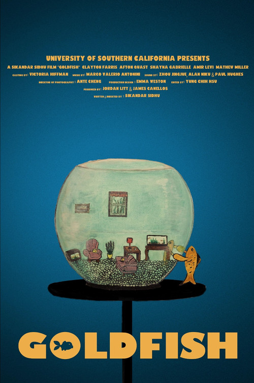 Goldfish (2018) poster