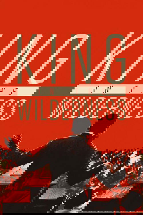 King in the Wilderness (2018) poster