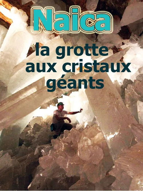 Naïca: La grotte aux cristaux géants (2009) poster